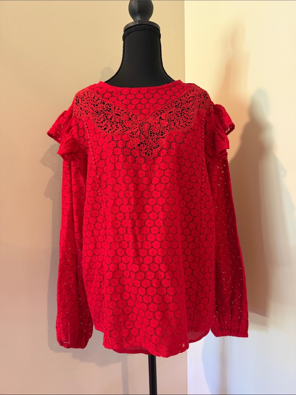 Express Red Lace Knit Long Sleeve Blouse